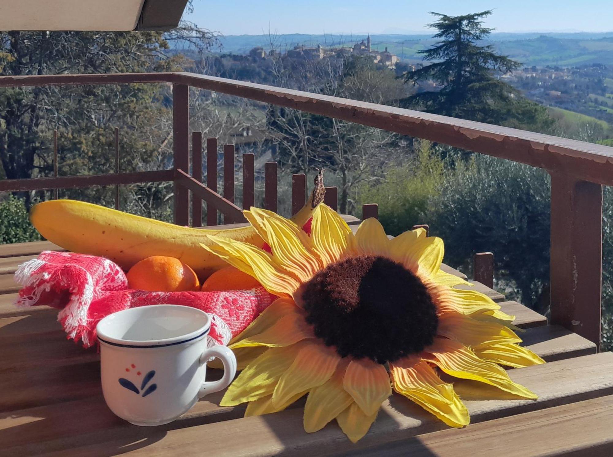 Appartamento Le Rondini Corinaldo Esterno foto