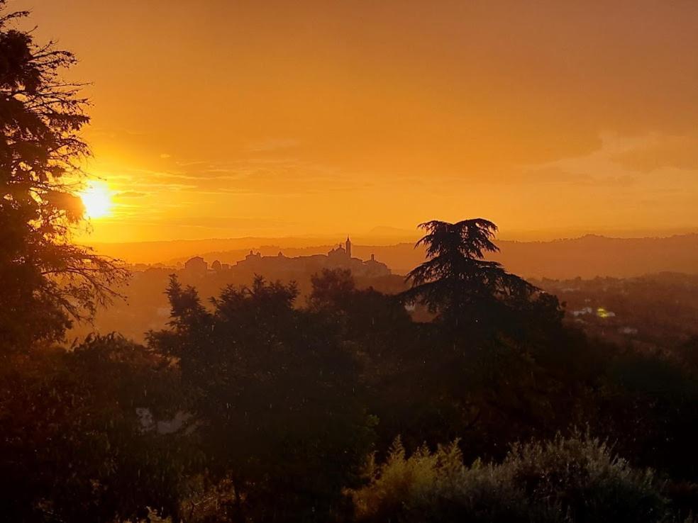 Appartamento Le Rondini Corinaldo Esterno foto